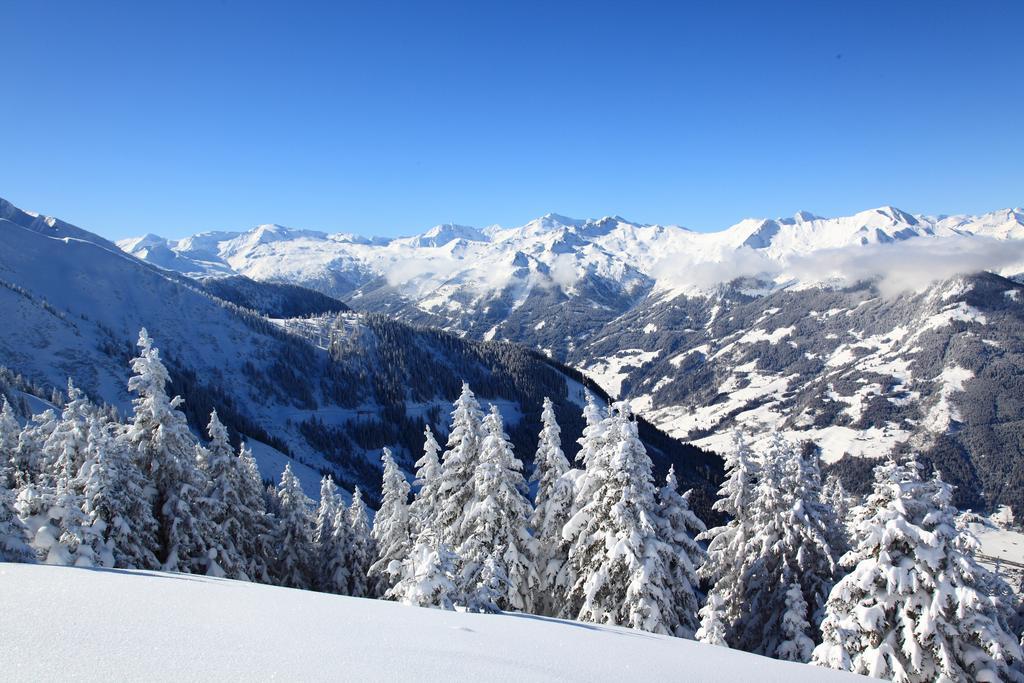Landhaus & Appartementhaus Haussteiner Dorfgastein Luaran gambar